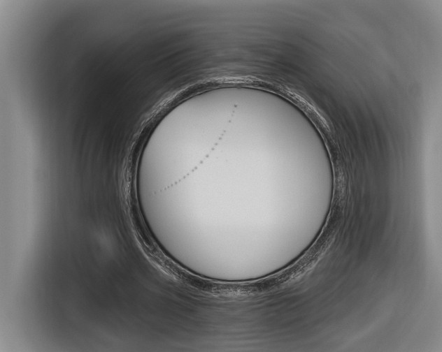 X0000116570533200912101005