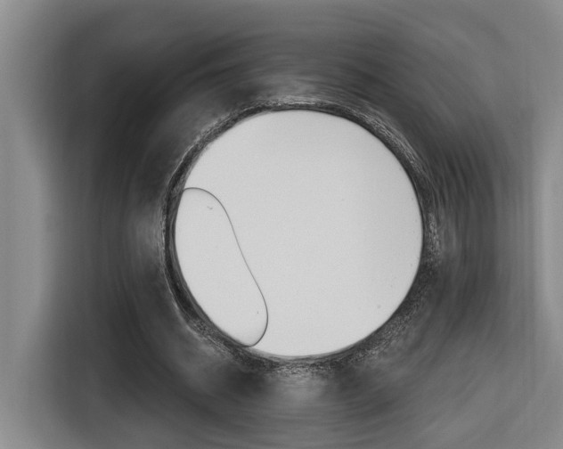 X0000116570534200912101005