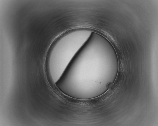 X0000116570535200912101005