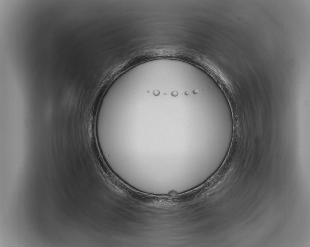 X0000116570537200912101005