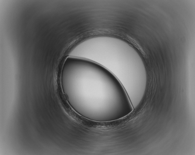 X0000116570538200912101005