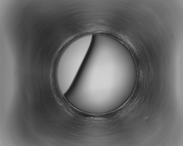 X0000116570539200912101005