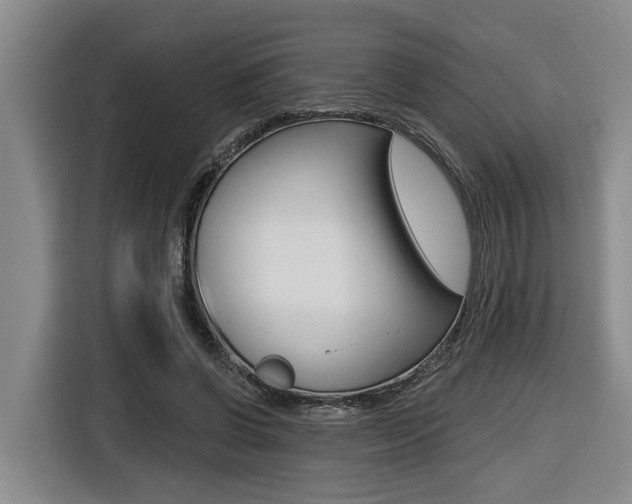 X0000116570542200912101005