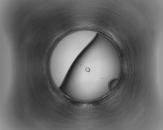 X0000116570543200912101005