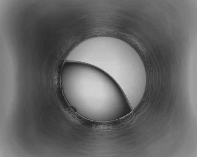 X0000116570546200912101005