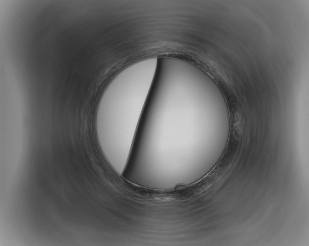 X0000116570547200912101005