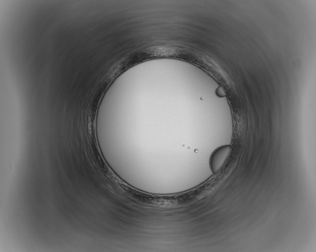 X0000116570549200912101005