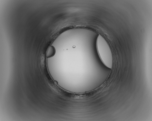 X0000116570550200912101005