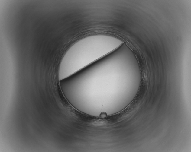 X0000116570551200912101005