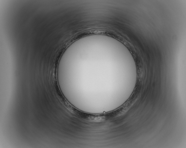 X0000116570553200912101005