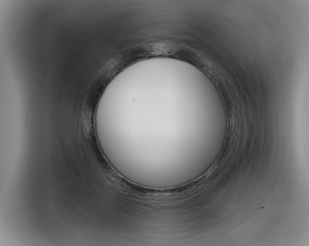 X0000116570554200912101005