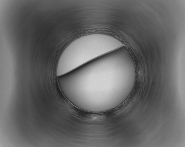 X0000116570555200912101005