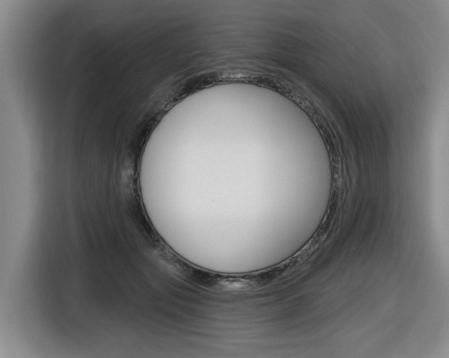 X0000116570557200912101005