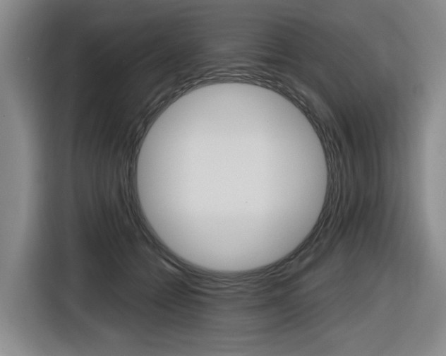 X0000116570558200912101005