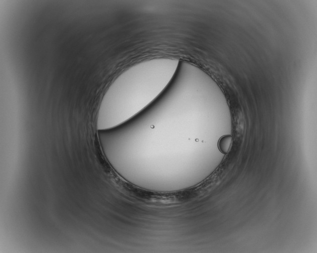 X0000116570559200912101005