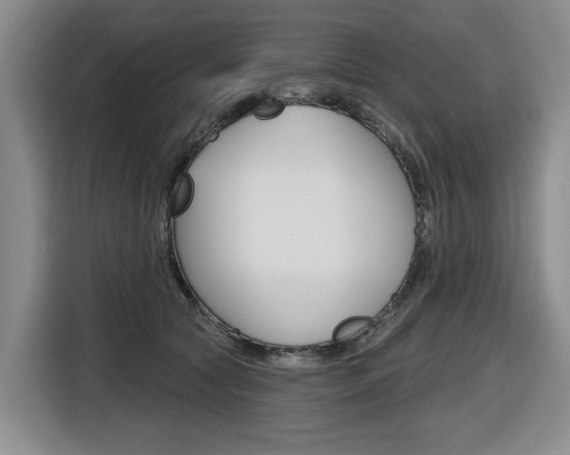 X0000116570561200912101006