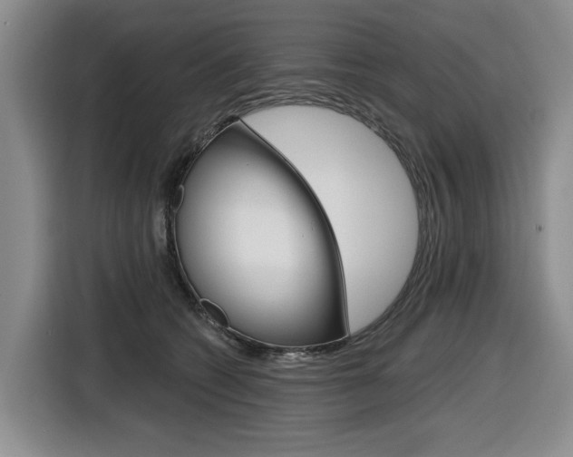 X0000116570562200912101006