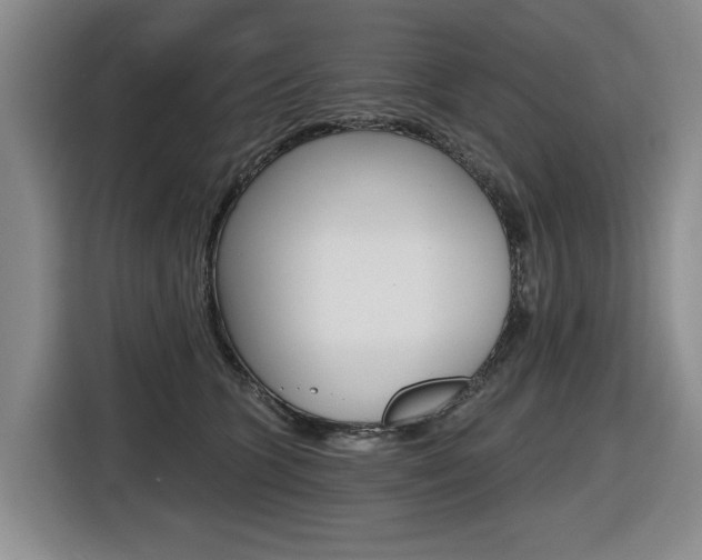 X0000116570563200912101006