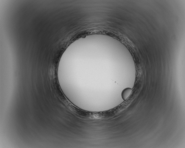 X0000116570565200912101006