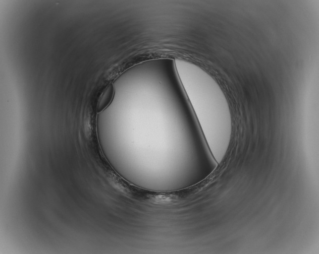 X0000116570566200912101006