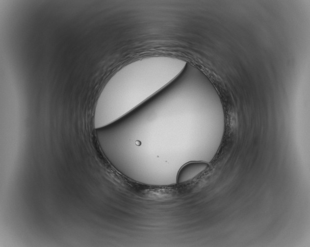 X0000116570567200912101006