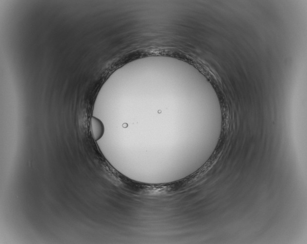 X0000116570569200912101006