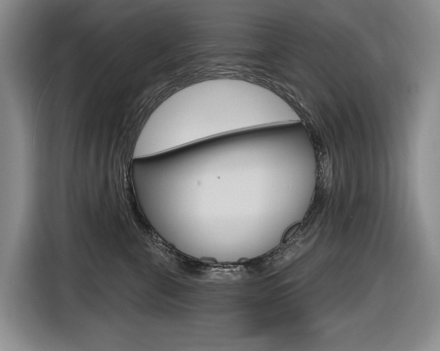 X0000116570571200912101006