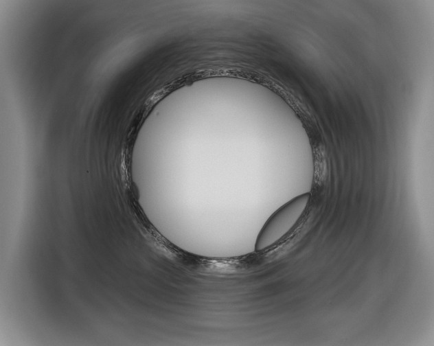 X0000116570573200912101006