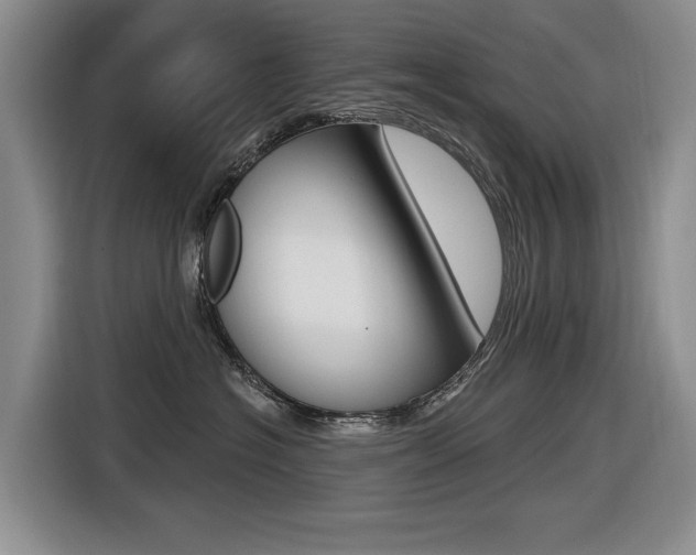 X0000116570574200912101006