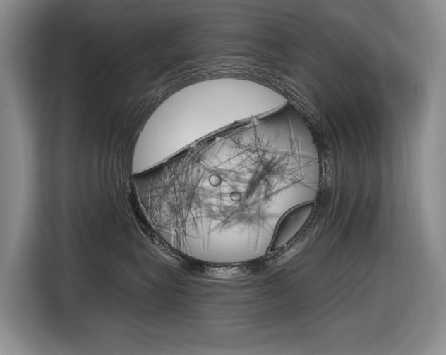 X0000116570575200912101006