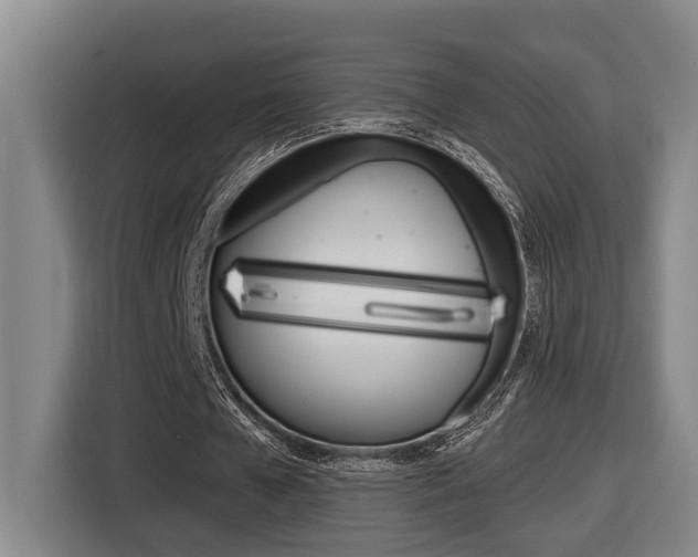 X0000116570577200912101005