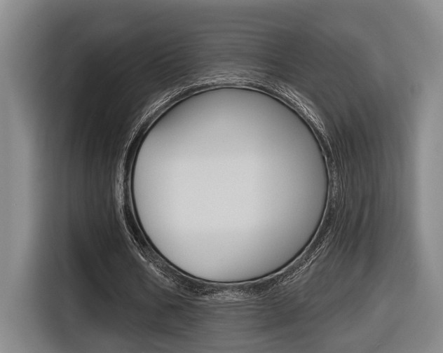 X0000116570578200912101005