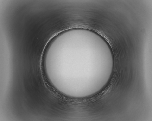 X0000116570579200912101005