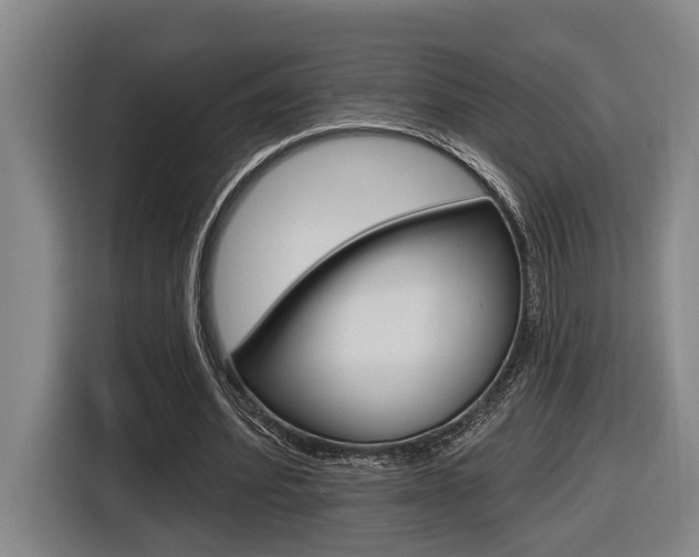 X0000116570580200912101005