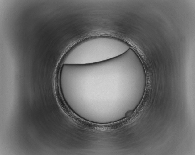 X0000116570582200912101005