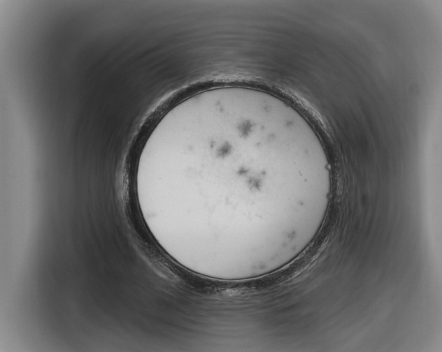 X0000116570584200912101005