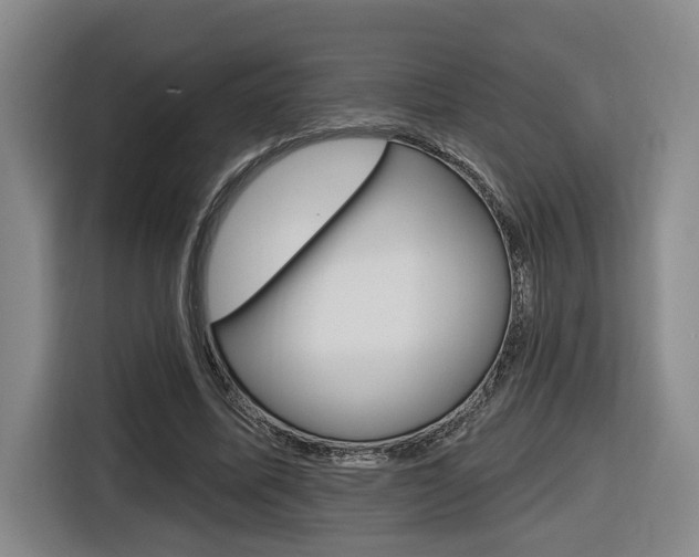 X0000116570587200912101005