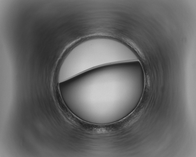 X0000116570588200912101005