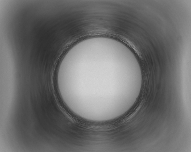 X0000116570589200912101005