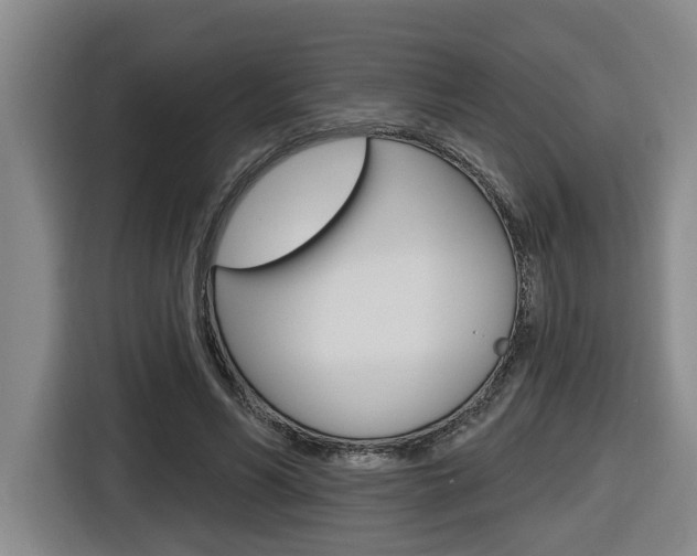 X0000116570590200912101005