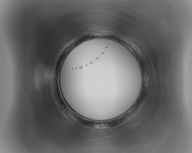 X0000116570591200912101005