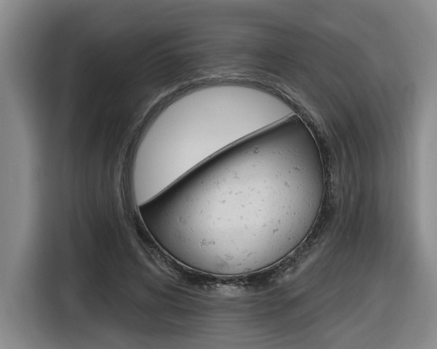 X0000116570592200912101005