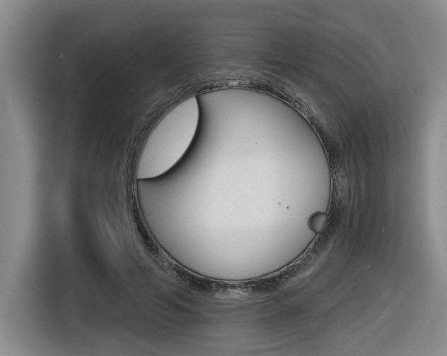 X0000116570594200912101005