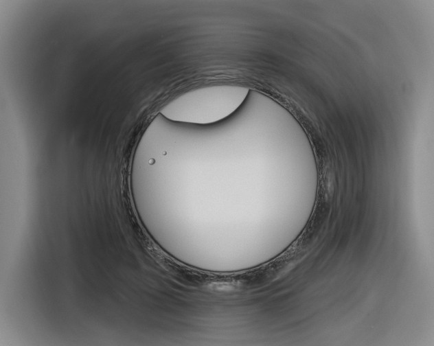 X0000116570595200912101005