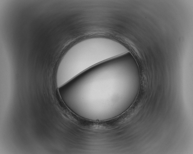 X0000116570596200912101005