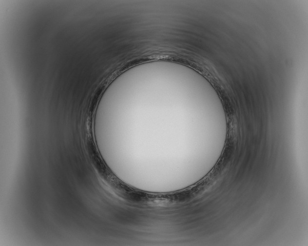 X0000116570598200912101005