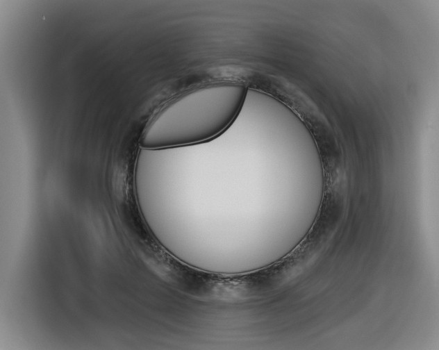 X0000116570599200912101005