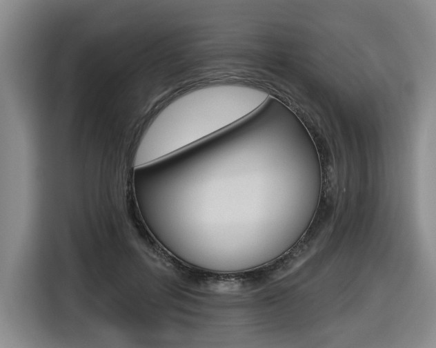 X0000116570600200912101005