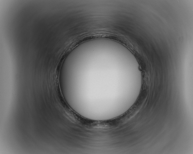 X0000116570601200912101005