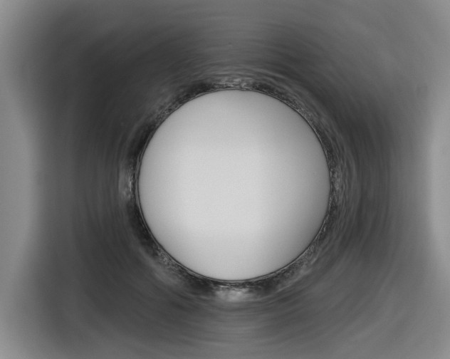 X0000116570602200912101005